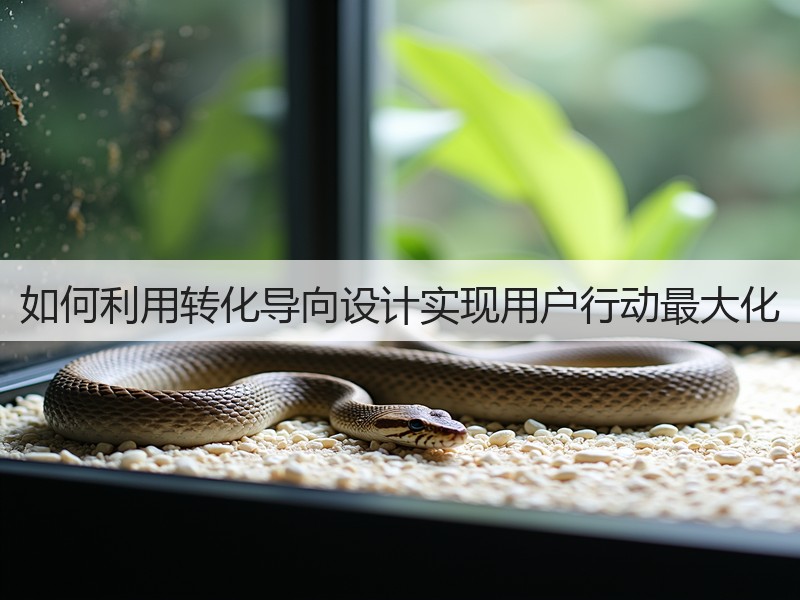 如何利用转化导向设计实现用户行动最大化(图3) 如何利用转化导向设计实现用户行动最大化(图3)