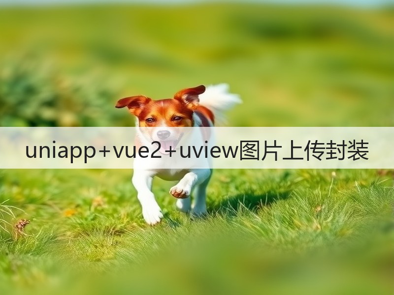 uniapp+vue2+uview图片上传封装(图2) uniapp+vue2+uview图片上传封装(图2)
