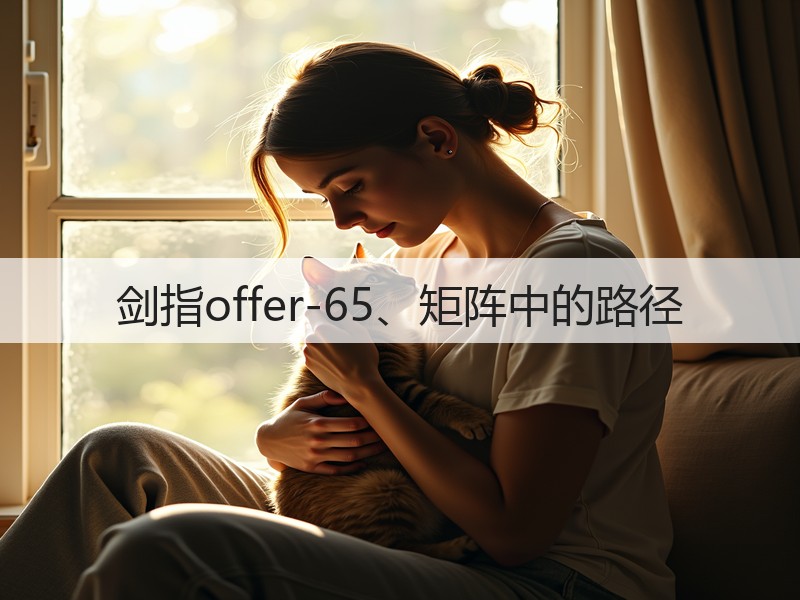 剑指offer-65、矩阵中的路径(图1) 剑指offer-65、矩阵中的路径(图1)