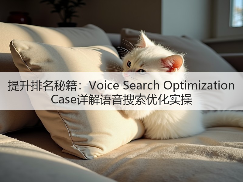 提升排名秘籍:Voice Search Optimization Case详解语音搜索优化实操(图1) 提升排名秘籍:Voice Search Optimization Case详解语音搜索优化实操(图1)