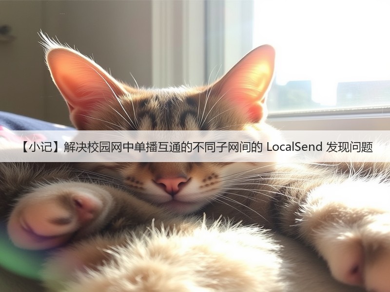 【小记】解决校园网中单播互通的不同子网间的 LocalSend 发现问题(图1) 【小记】解决校园网中单播互通的不同子网间的 LocalSend 发现问题(图1)