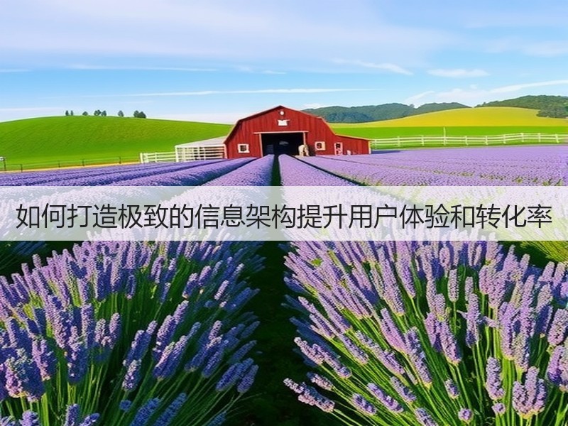 如何打造极致的信息架构提升用户体验和转化率(图3) 如何打造极致的信息架构提升用户体验和转化率(图3)