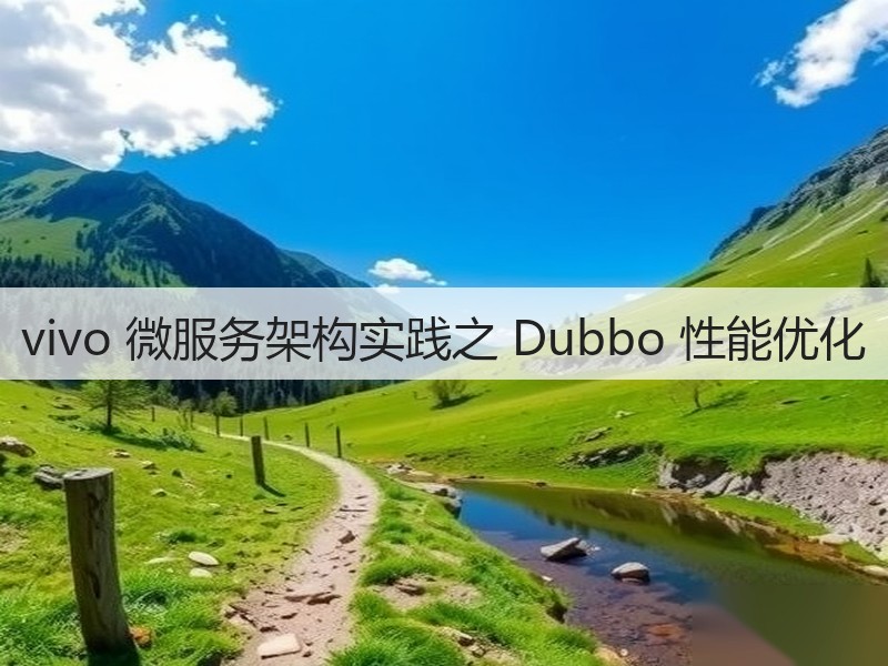 vivo 微服务架构实践之 Dubbo 性能优化(图1) vivo 微服务架构实践之 Dubbo 性能优化(图1)