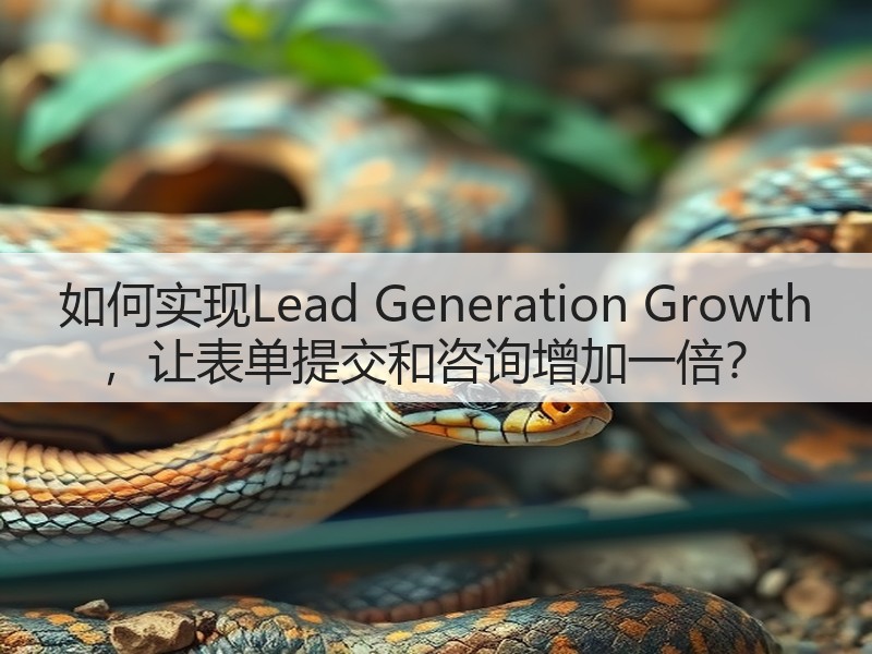 如何实现Lead Generation Growth ,让表单提交和咨询增加一倍?(图2) 如何实现Lead Generation Growth ,让表单提交和咨询增加一倍?(图2)