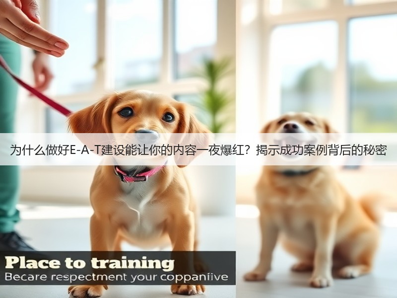 为什么做好E-A-T建设能让你的内容一夜爆红?揭示成功案例背后的秘密(图1) 为什么做好E-A-T建设能让你的内容一夜爆红?揭示成功案例背后的秘密(图1)